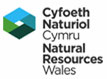 Cyfoeth Naturiol Cymru / Natural Resources Wales